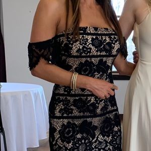 Express lace cocktail dress
